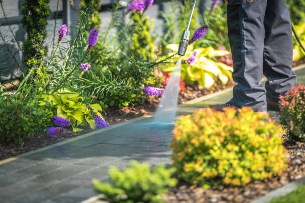 Best Patio and Deck Pressure Washing  in Ocean Gate, NJ
